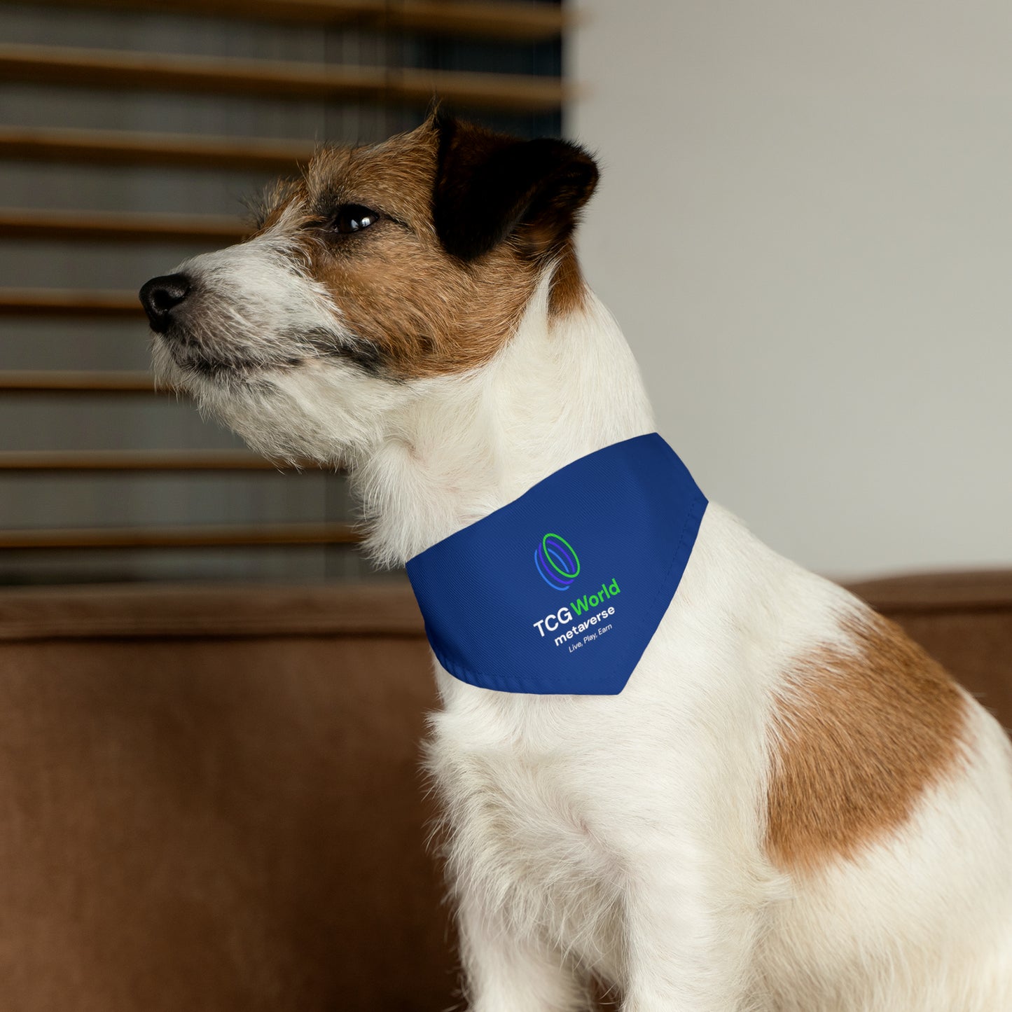 TCG World Metaverse Pet Gear - Pet Bandana Collar (Blue)