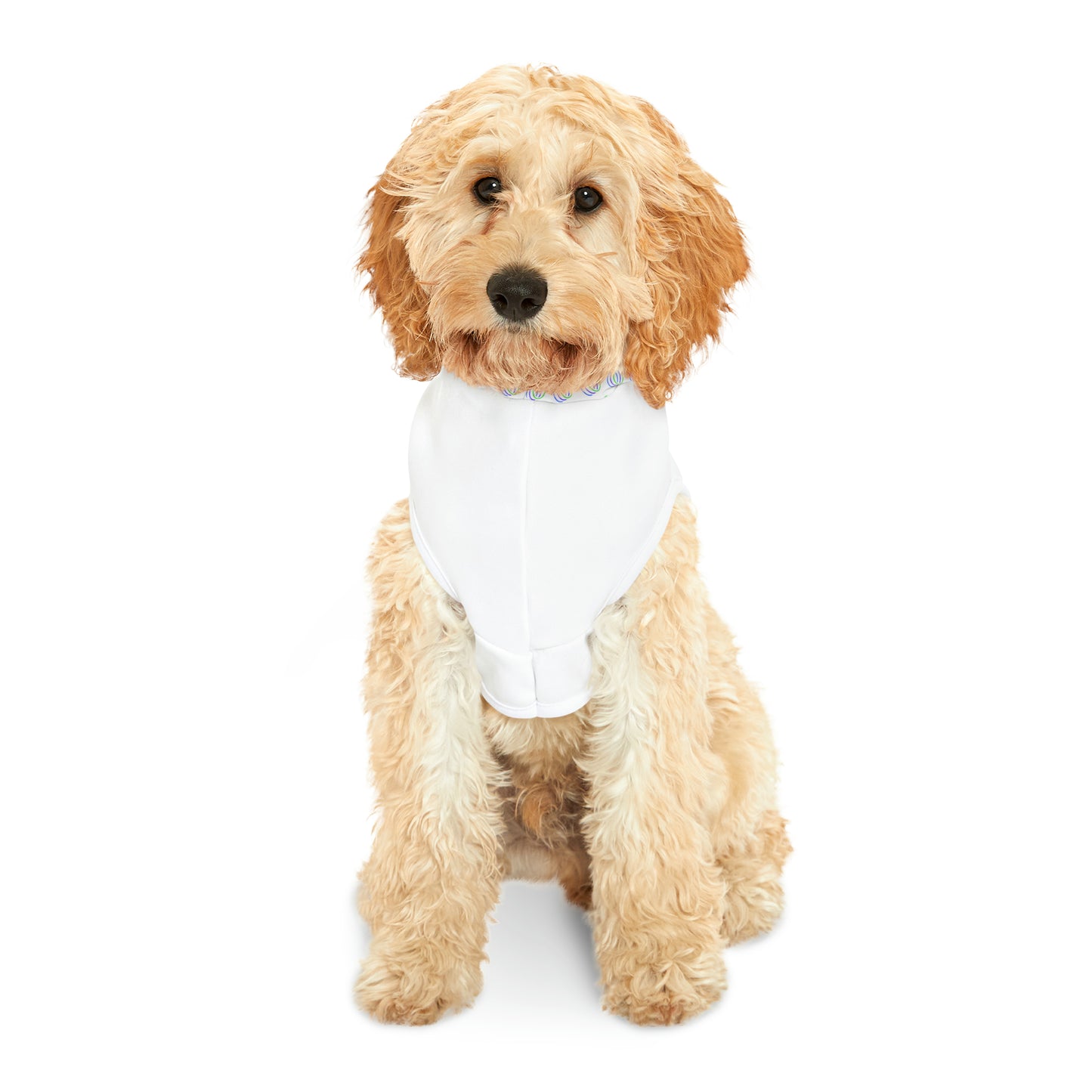 TCG World Metaverse Pet Gear - Boreas Pet Hoodie for Cats or Dogs (White)