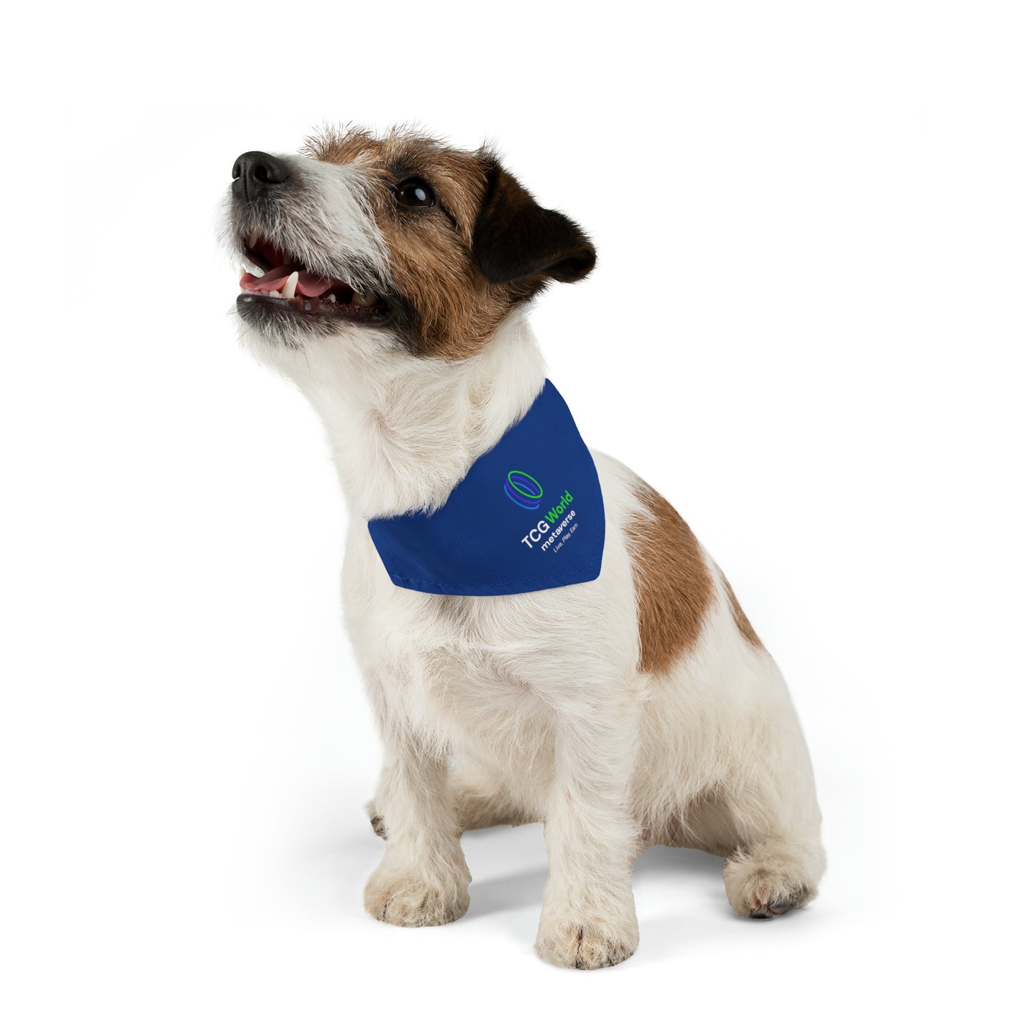 TCG World Metaverse Pet Gear - Pet Bandana Collar (Blue)