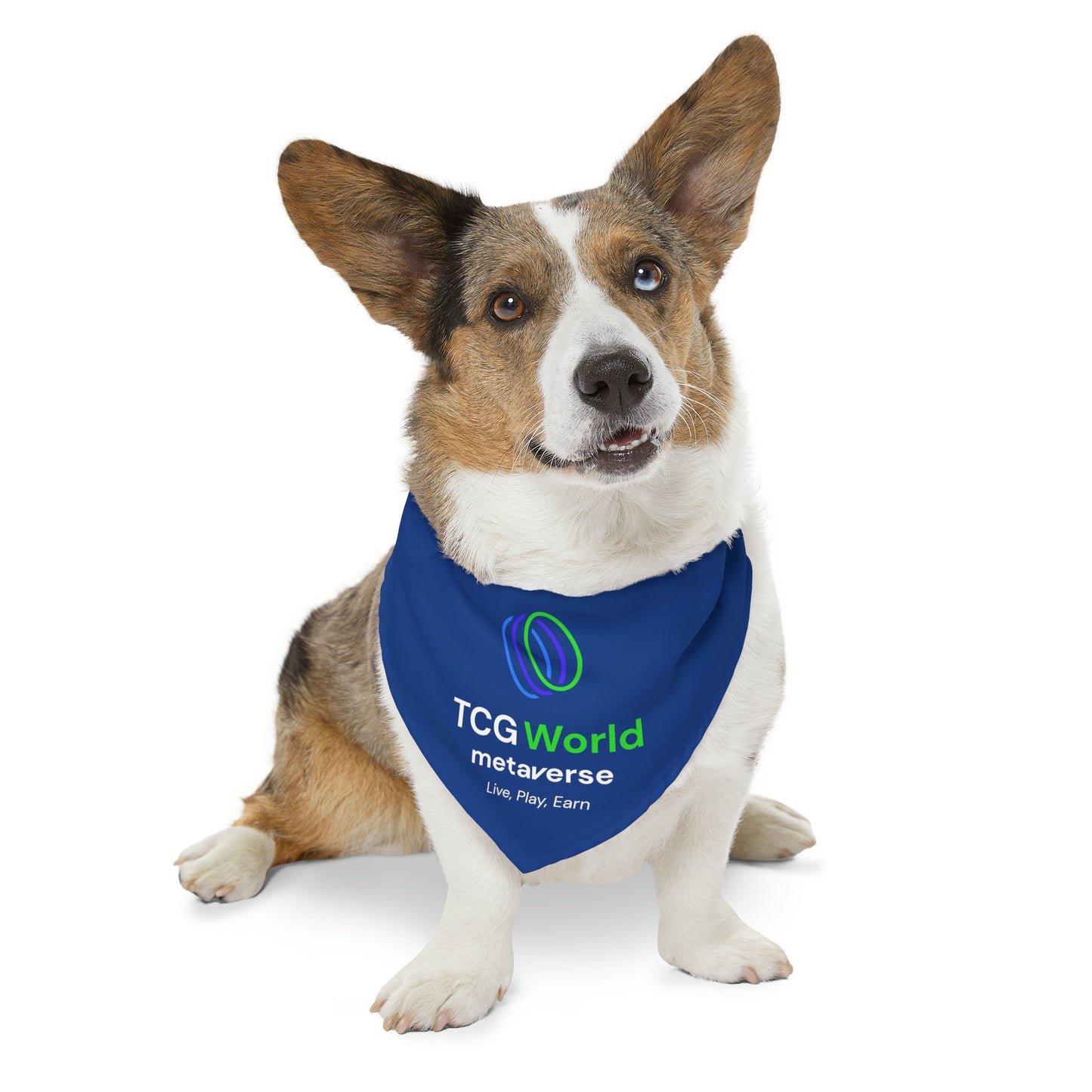 TCG World Metaverse Pet Gear - Pet Bandana Collar (Blue)