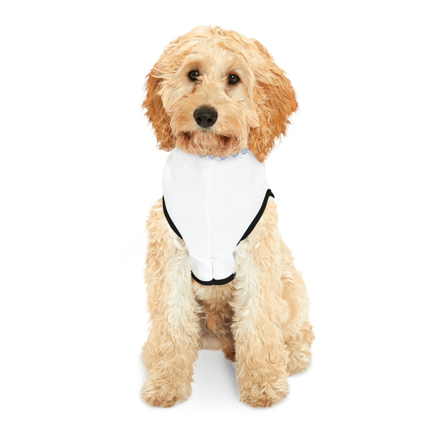 TCG World Metaverse Pet Gear - Boreas Pet Hoodie for Cats or Dogs (White)
