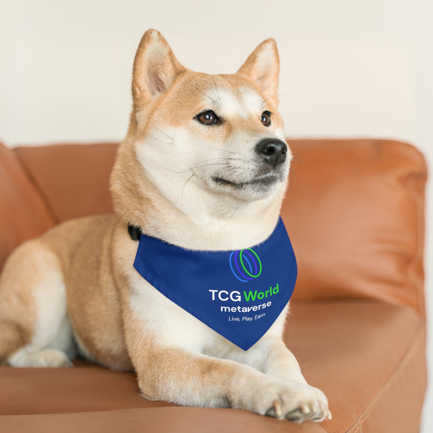 TCG World Metaverse Pet Gear - Pet Bandana Collar (Blue)