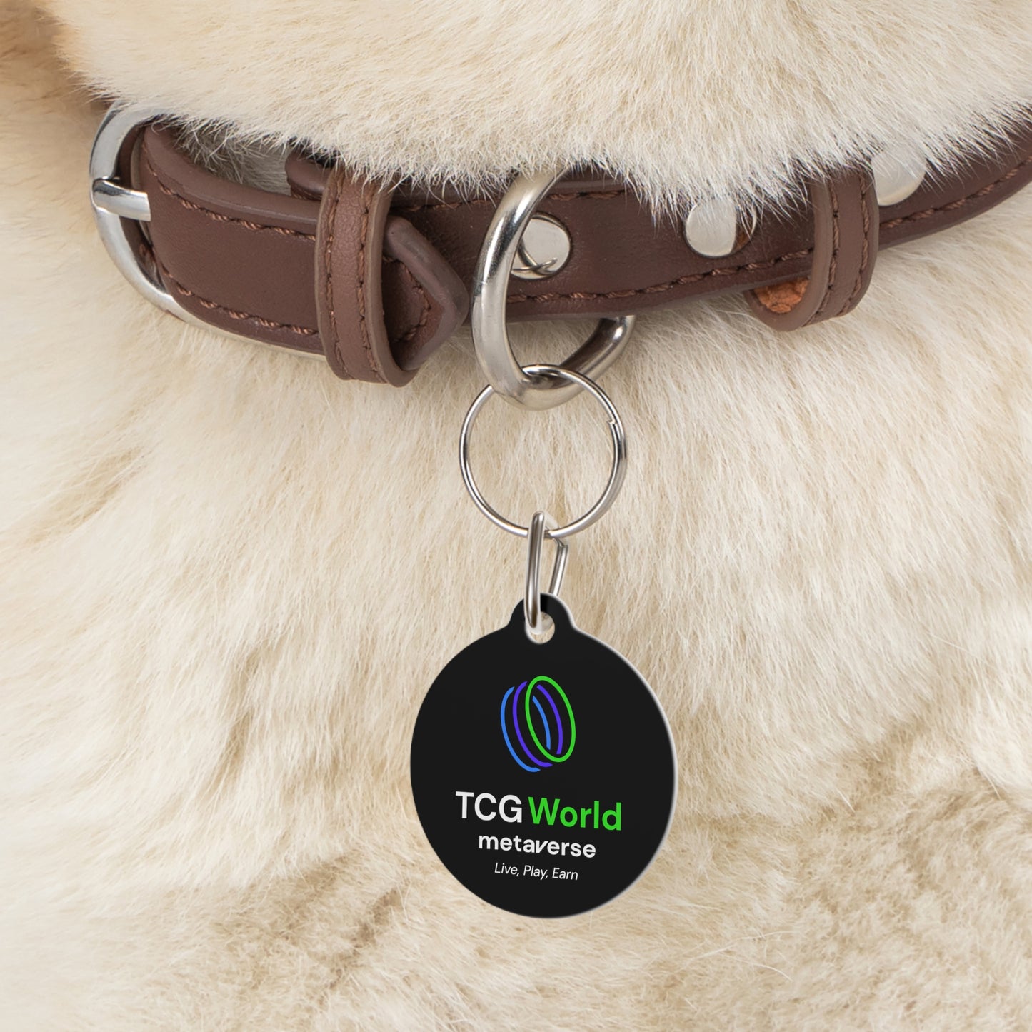 TCG World Metaverse Pet Gear - Pet Tag for Cats or Dogs (Black)